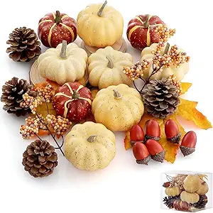 Affordable Fall Decor Set for Festive Charm
