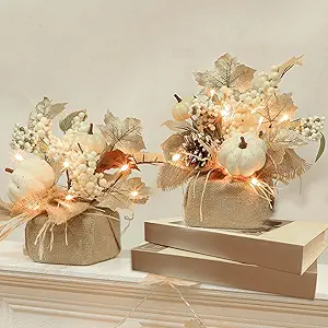 Elegant Fall Decor At An Unbeatable Price