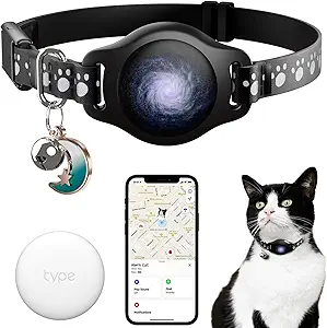 #1 Cat Collar to Keep Tabs on Your Furry Friend