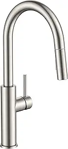 Affordable High Arc Faucet with 4.6★ Trust