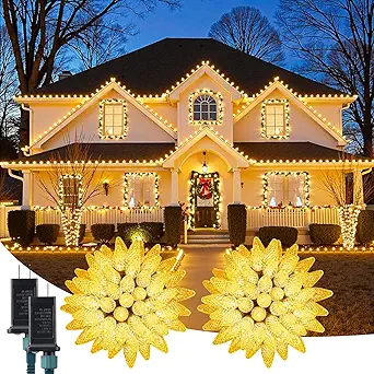Top-Rated Christmas Lights Loved by 36 Buyers