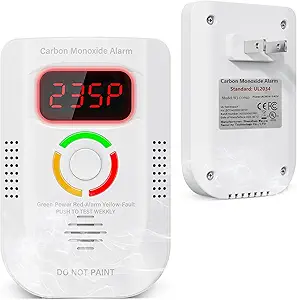 Top-Rated CO Detector for Under $15