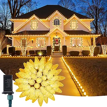 Top-Rated Holiday Lights for $35.98!