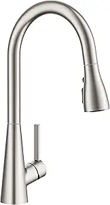 Top Rated Kitchen Faucet for Under $100