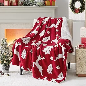 Cozy Holiday Throw Blanket for Under $30