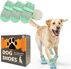 Durable Dog Boots Under $35 for All Seasons